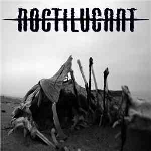 Noctilucant - Dead Meat download flac