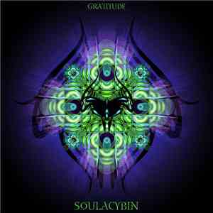 Soulacybin - Gratitude download flac