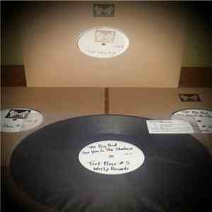 The Big Bad - See You In The Shadows download flac