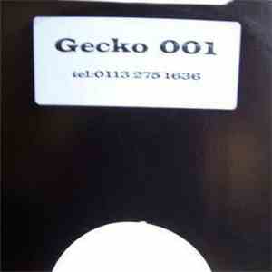 Unknown Artist - Gecko 001 download flac