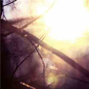 Am.Light - Slow Nights download flac