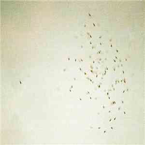 Gnats - To The Hands Of Heathens download flac