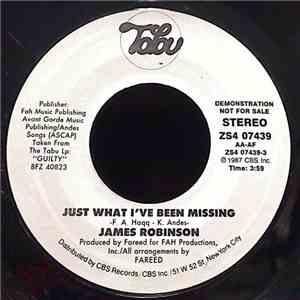 James Robinson - Just What I've Been Missing download flac