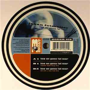 Johan Fotmeijer - How We Gonna Fail Now? download flac