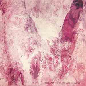 Porcelain Raft - Strange Weekend download flac