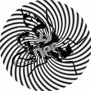Search DiP - Nobody But You download flac