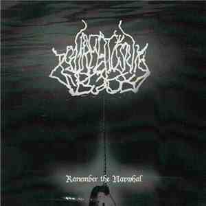 Your Favorite Book - Remember The Narwhal FLAC album