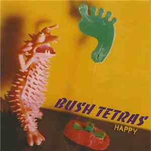 Bush Tetras - Happy download flac