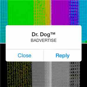 Dr. Dog - Badvertise download flac