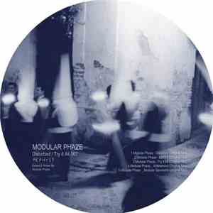 Modular Phaze - Disturbed / Try It All download flac