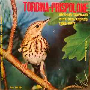 No Artist - Tordina-Prispolone download flac