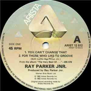 Ray Parker Jnr. - You Can't Change That download flac