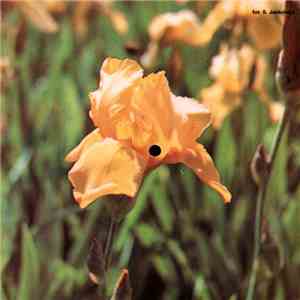Sandy Powers - Feelings download flac
