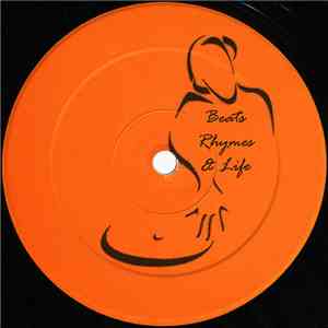 Various - Rap Remix Project Volume 9 download flac