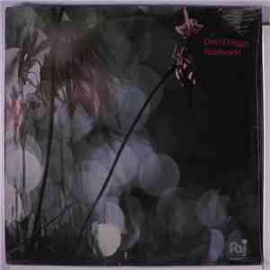 David Diggs - Realworld download flac