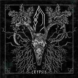 Forest of Grey - Crypsis download flac