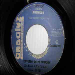 Grupo Andaluz - Consuelo de Mi Corazon / Necesito de Tu Amor download flac