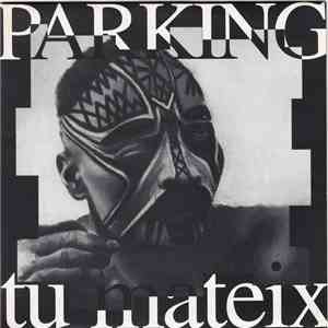 Parking  - Tu Mateix download flac