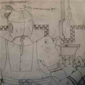Scattered Order - I Feel So Relaxed With You... download flac