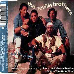 The Neville Brothers - Bird On A Wire download flac