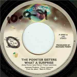 The Pointer Sisters - What A Surprise download flac