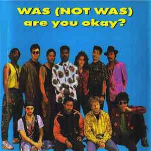 Was (Not Was) - Are You Okay? download flac