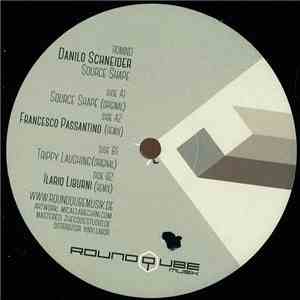 Danilo Schneider - Source Shape download flac