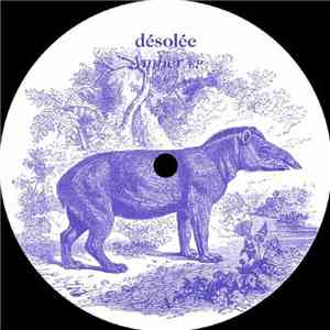 Désolée - Amber EP download flac