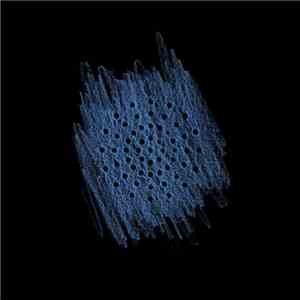Hot Chip - Dark And Stormy download flac