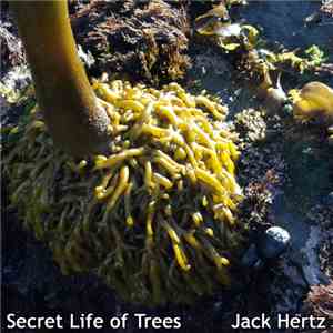 Jack Hertz - Secret Life Of Trees download flac
