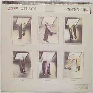 Joey Wilson - Going Up download flac