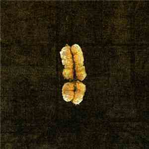 Kenji Siratori - Chromosome Murder download flac