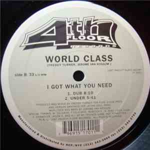 World Class - I Got What You Need download flac