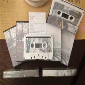 レイコLeiko & Whalez feat. c0bra - Connecting to the Future/The emotional side of the story download flac