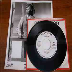 Bambi Lynn - Shattered download flac