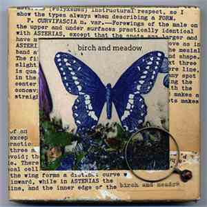 Birch And Meadow - Butterflies And Graves download flac