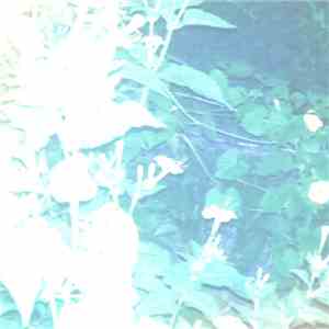 Dark Side Of The Audio System - Loop Collections 7 download flac
