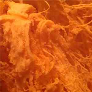 Hoaries - Crudforms Vol. 2 download flac