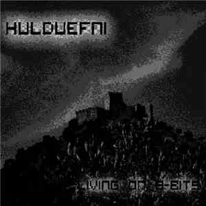 Hulduefni - Living On 8-Bits FLAC album