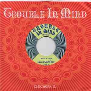 Jacco Gardner - Where Will You Go download flac