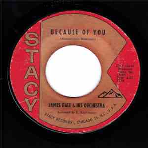 James Gale & His Orchestra - Because Of You / Marlene download flac