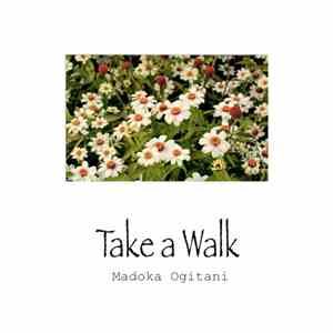 Madoka Ogitani - Take A Walk download flac