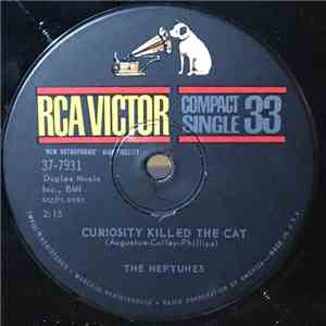 The Neptunes - Curiosity Killed The Cat / This Is My Love FLAC album