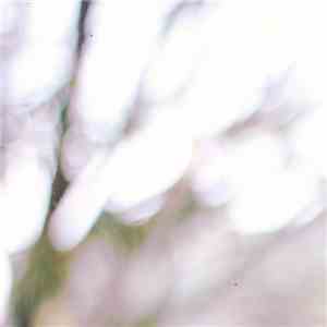 Allthingslost - Light EP download flac