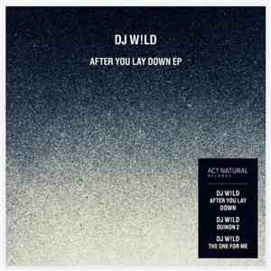 DJ W!LD - After You Lay Down EP download flac