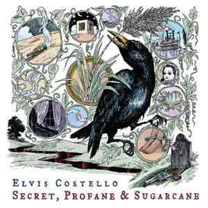 Elvis Costello - Secret, Profane & Sugarcane download flac
