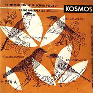 No Artist - Stimmen Einheimischer Vögel download flac