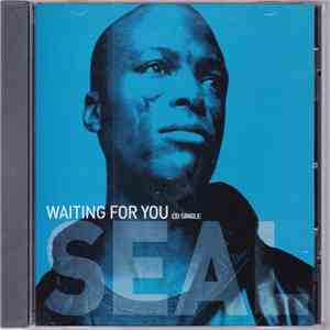 Seal - Waiting For You download flac