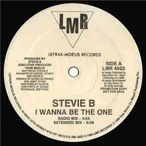 Stevie B - I Wanna Be The One download flac