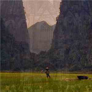 Mentalease - Entropy Rising download flac